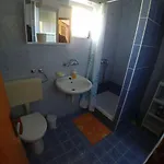 Svetka * Sali