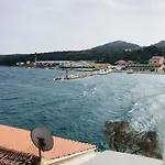 Svetka *